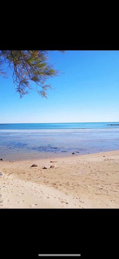 Appartamento Le Coeur Des Sables Le Grau-dʼAgde Esterno foto